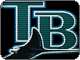 Matthew Hatfield's 2005 MLB Season Preview for the Tampa Bay Devil Rays